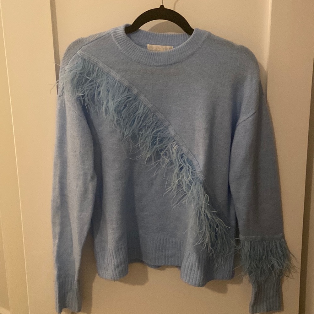 Design History Light Blue Sweater with Feathers